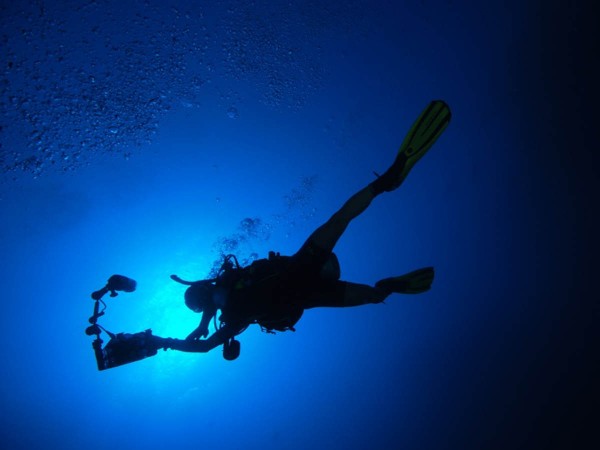 Spezialkurs - Digitale Unterwasser Fotografie