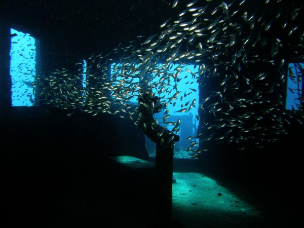 Wreck tour Abu Nuhas